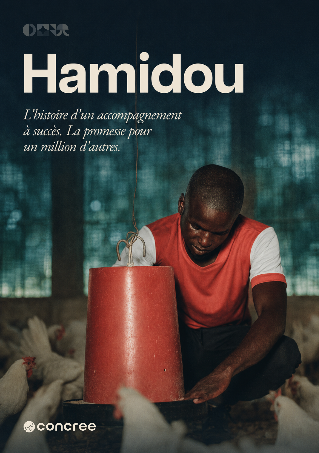Couverture du book Hamidou